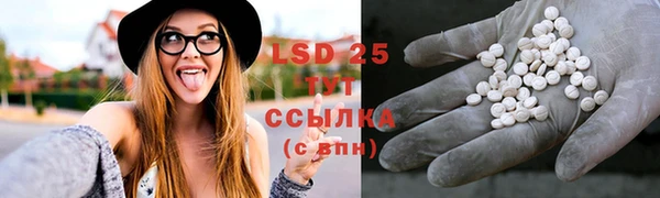 стаф Михайлов