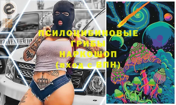дурь Михайловка