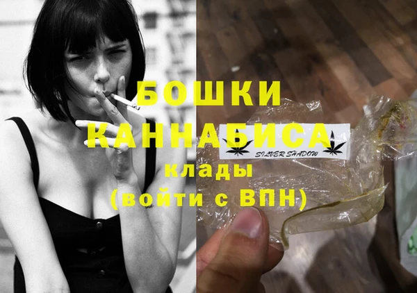 стаф Михайлов