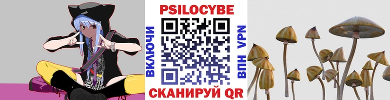 Галлюциногенные грибы Cubensis Ковров