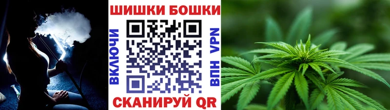 Шишки марихуана сатива  Ковров 